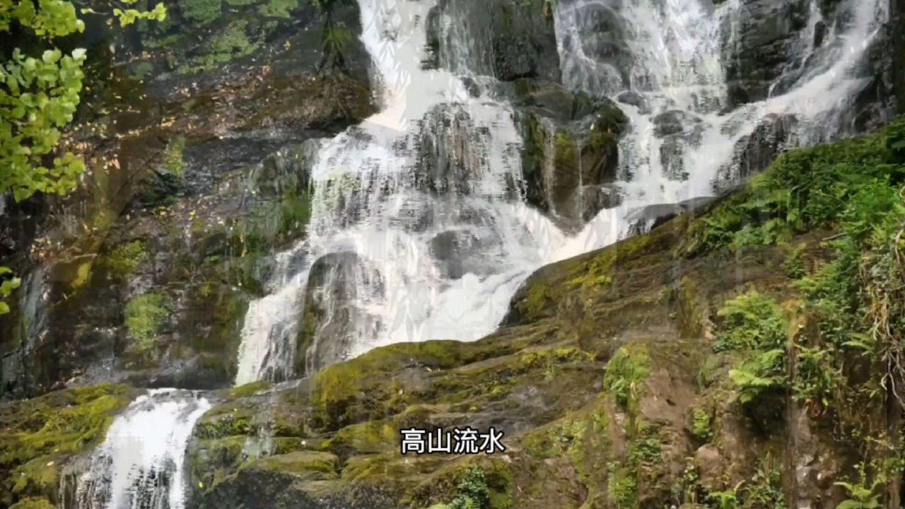高能开局，神级收尾，神剧又杀疯了